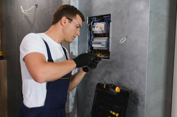 Best Ceiling Fan Installation Electrician  in Tyler, MN